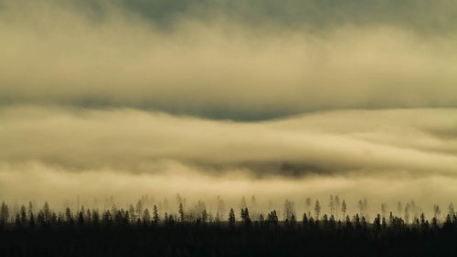 23-3-2016-Eindeloos-Rolf-van-der-Vegt