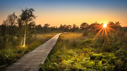 230704-rouwkaartfotopeel