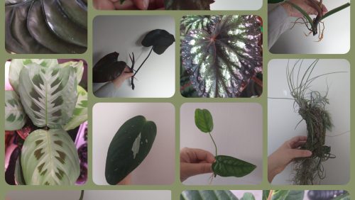 244397697_10225868984734572_4682821241569580048_n