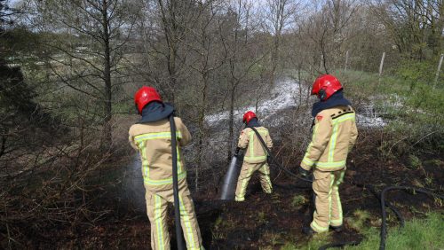 2525ACE1-7370-4FE8-BF34-AD12491387C1