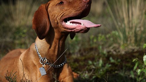 3535748259_703be008ee