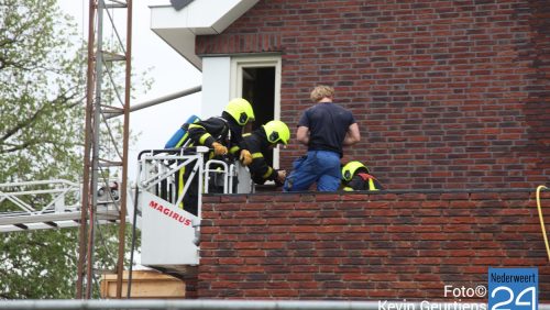 3brand-weert