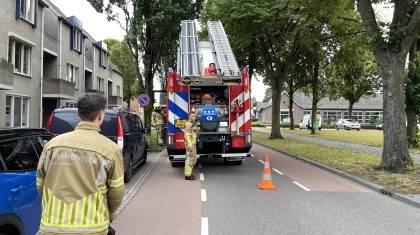 8440F4B8-553D-4D83-8C87-DFFF0C243A15