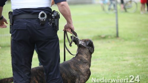 Donderdag avond is aan de Laurenburg in Weert een man aangehouden die dreigden om zijn woning in een flat aldaar op te blazen.