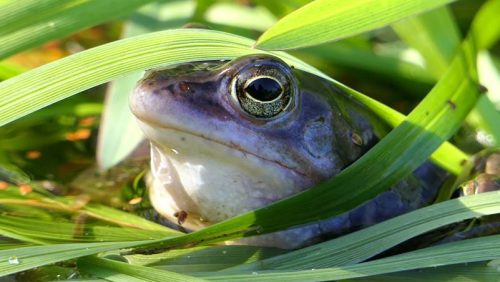 Activiteitenprogramma-Buitencentrum-De-Pelen