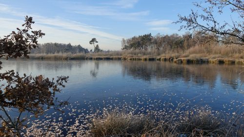 Activiteitenprogramma december 2023 Buitencentrum De Pelen