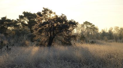 Activiteitenprogramma-januari-2023-Buitencentrum-De-Pelen