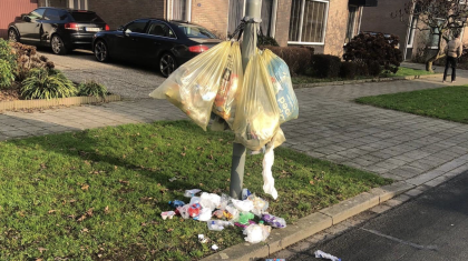 Afval-gemeente-Nederweert Afval-gemeente-Nederweert
