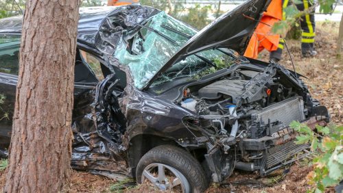 Auto-ramt-bomen-naast-A2-Weert-4