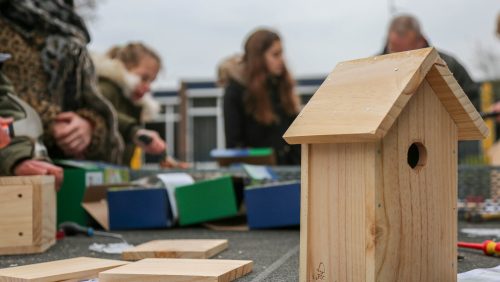 BS-Budschop-maakt-nestkastjes-Kanaalpark-13