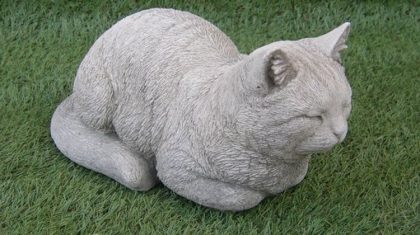 Beeld-van-witte-poes-verdwenen Beeld-van-witte-poes-verdwenen