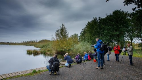 Beleef-en-fotografeer-het-Nationaal-Park-De-Groote-Peel