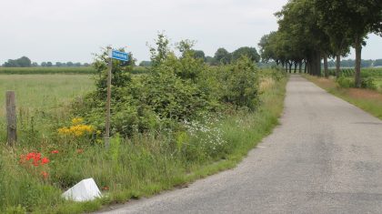 Berm-Ospel Berm-Ospel