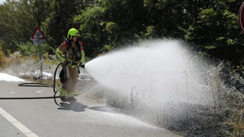 Bermbrand-DR-Anton-Philipsweg-Weert-2