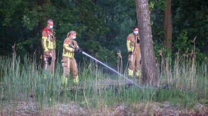 Bermbrand-Kempenweg-Weert-3