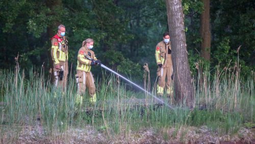 Bermbrand-Kempenweg-Weert-3