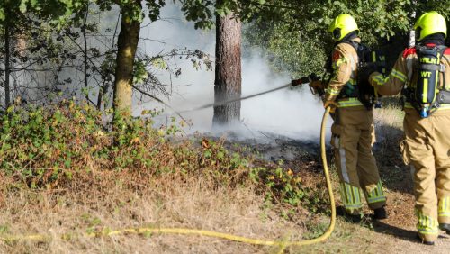 Bermbrand-Maarheezerhuttendijk-Weert-4