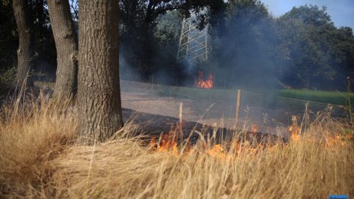 Bermbrand-Schoordijk