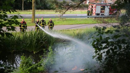 Bermbrandje-Eindhovenseweg-3