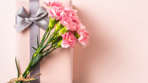 Bi-j-Siem-visuals-nieuw-