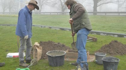 Bijenbiotoop-Zorgcentrum-St-Joseph