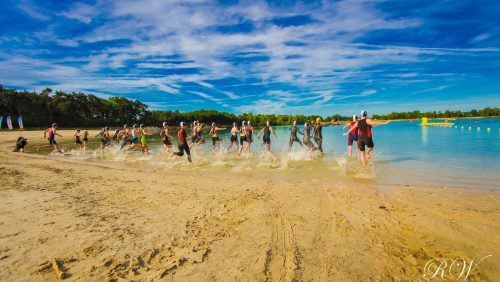 Blauwe-Meertje_-Renee-Witteveen