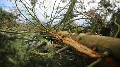 Blikseminslag-Heerweg-Nederweert-4