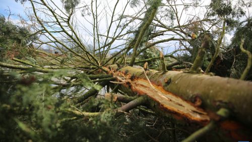 Blikseminslag-Heerweg-Nederweert-4