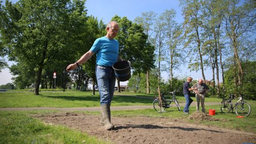 Bloemen-inzaaien-Budschop-5485