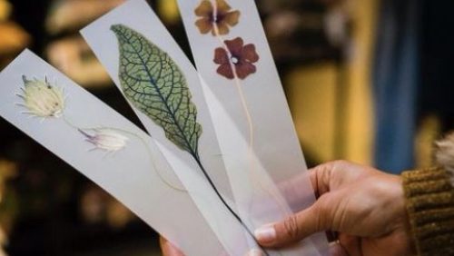 Bloemen-strijken-Nederweert