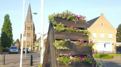 Bloemetjes-buiten-gezet-in-Ospel