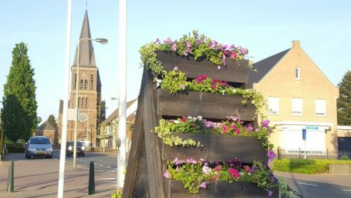 Bloemetjes-buiten-gezet-in-Ospel