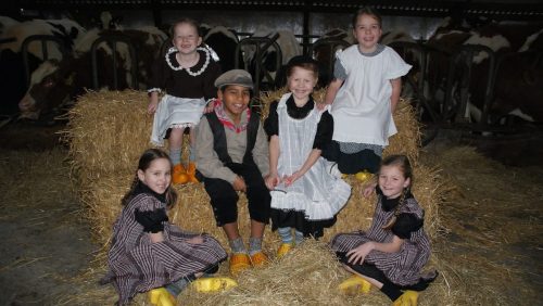 Boaz-en-Daphne-Boerenbruidspaar-JKV-De-Krielkes-2017