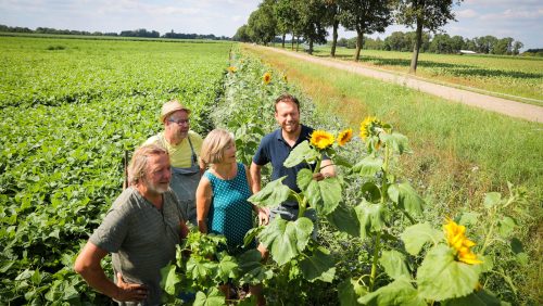 Boeren-van-Nederweert-3