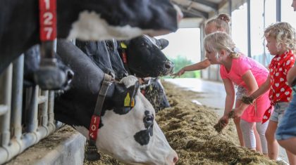 Boeren-van-Nederweert-DAG-2018-Nederweert-Harold-Kuepers-21