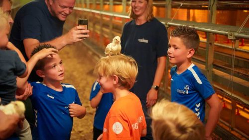 Boeren-van-Nederweert-dag-2024-zondag-19-1