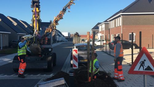 Bomen-geplant-in-nieuwbouwwijk-Hoebenakker