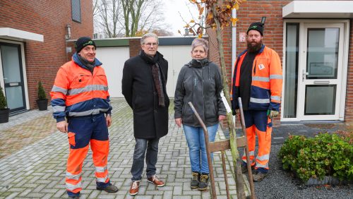 Bomen-groenbeleidsplan-uitgedeeld-2