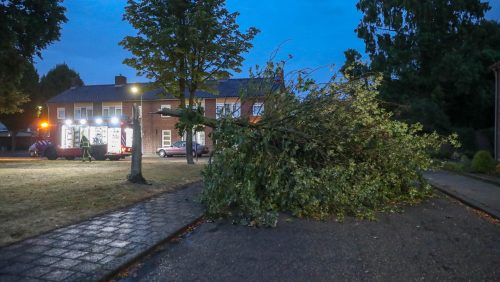 Boom-omgevallen-Lambert-Gooferstraat-Weert-2