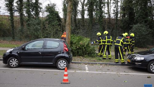 Boom-omgewaaid-St-Maartenslaan-1