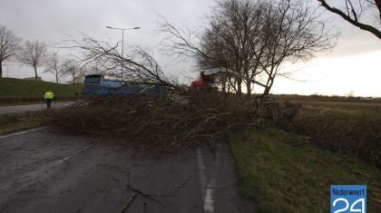 Boom op ringbaan Noord Weert