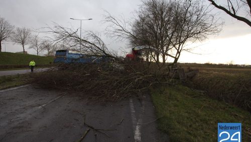Boom op ringbaan Noord Weert