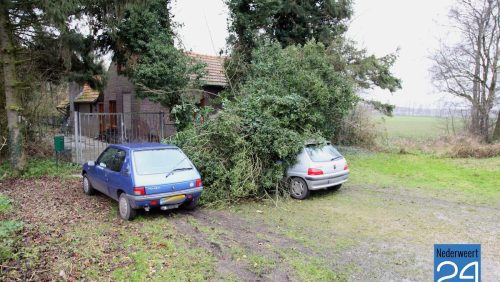 Boom op auto tijdens storm aan Gebleektedijk in Nederweert-Eind