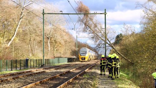 Boom-op-spoor-Roermondseweg