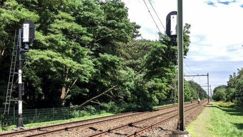 Boom-op-sppor-bij-Heythuysen-1