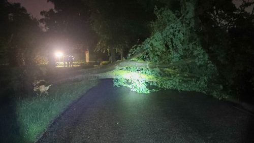 Boom-over-weg-Herstraat-Nederweert-3