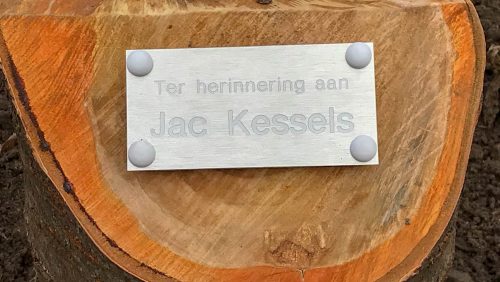 Boom-ter-nagedachtenis-aan-Jac-Kessels-basisschool-Budschop-1