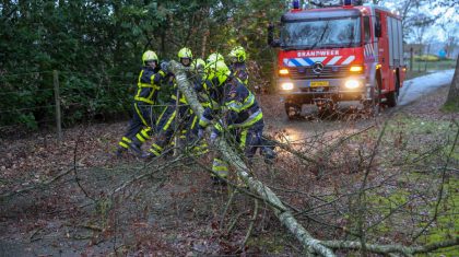 Boom-verspert-fietspad-Houtsberg-4
