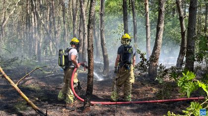Bosbrand-Weerter-en-Budelerbergen-7 Bosbrand-Weerter-en-Budelerbergen-7