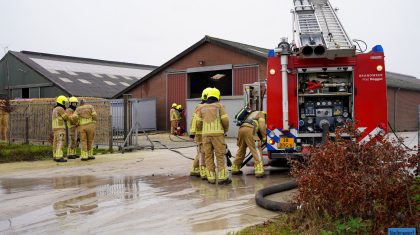 Brand-Heide-Roggel-2